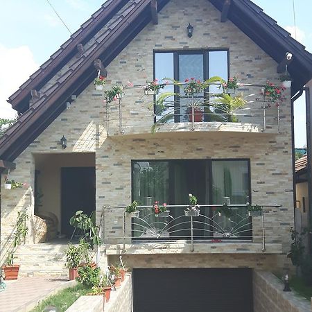 Vila Alexia Otel Călimăneşti Dış mekan fotoğraf