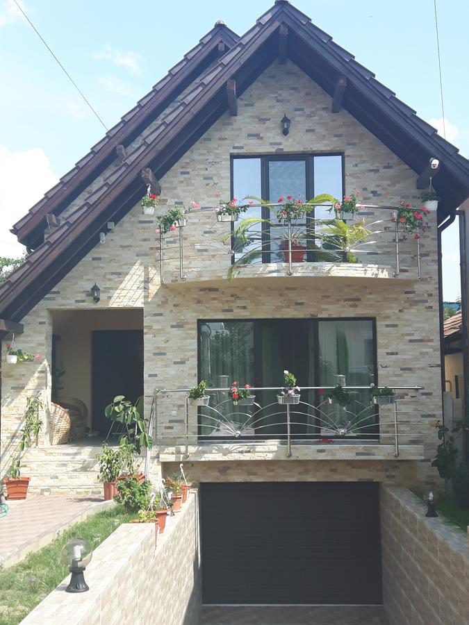 Vila Alexia Otel Călimăneşti Dış mekan fotoğraf