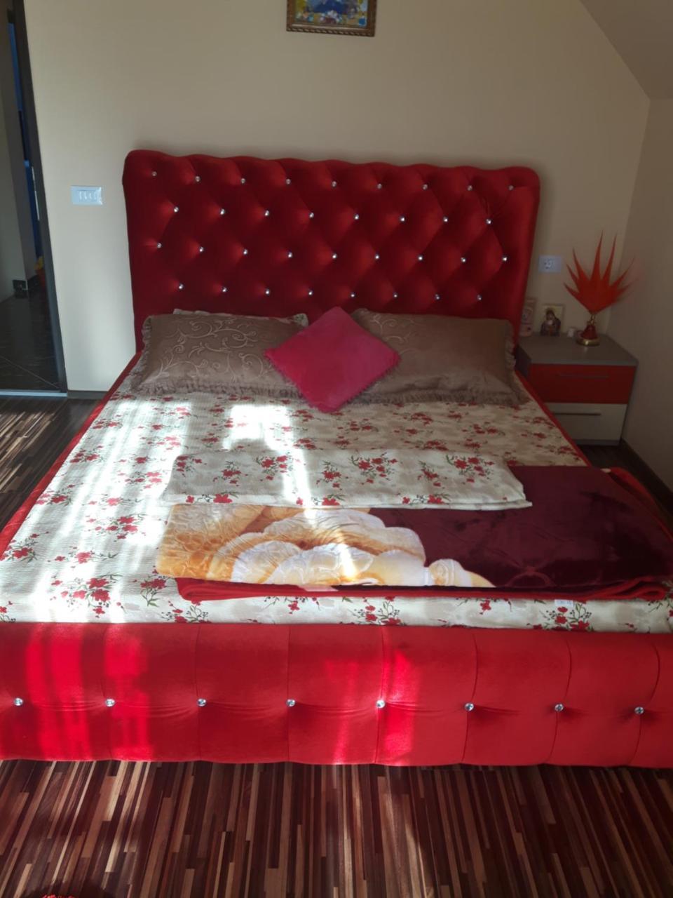 Vila Alexia Otel Călimăneşti Dış mekan fotoğraf