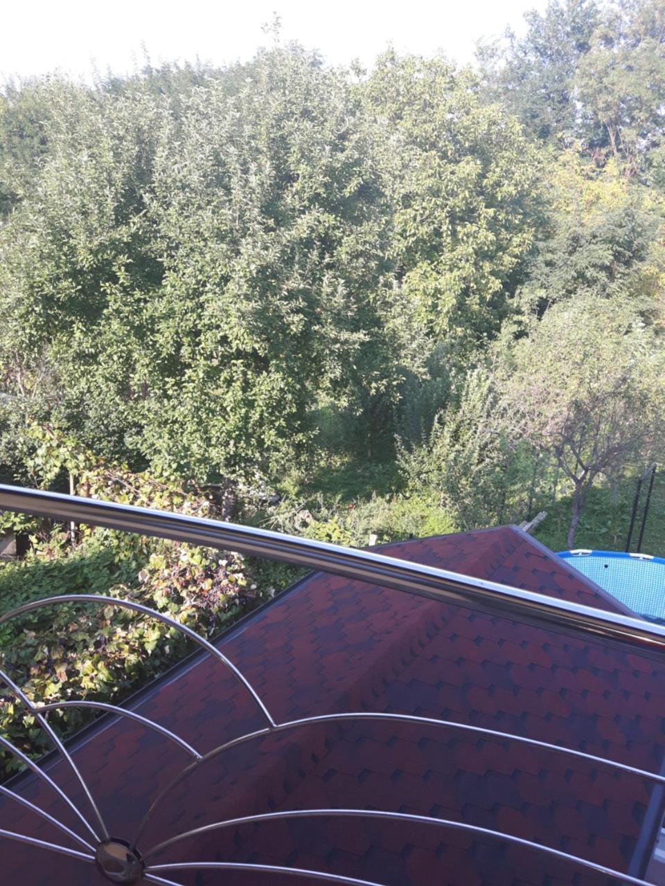 Vila Alexia Otel Călimăneşti Dış mekan fotoğraf