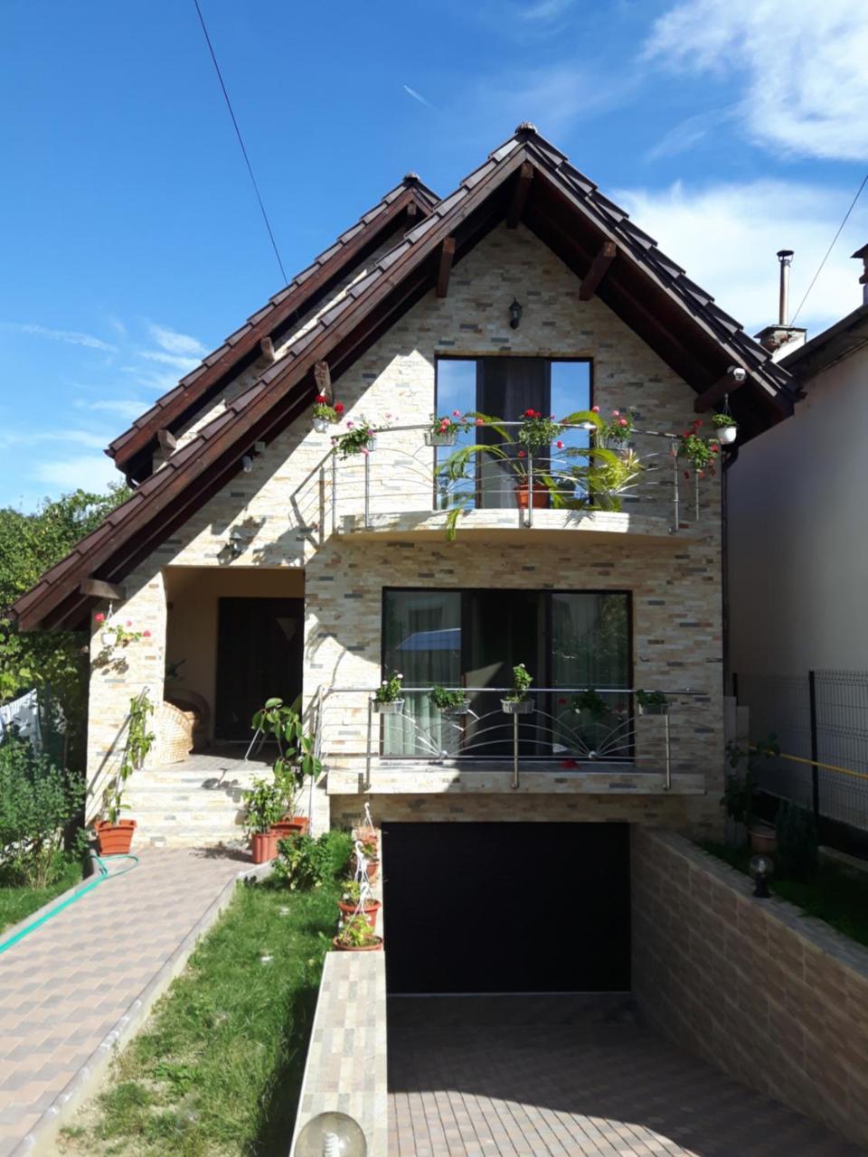 Vila Alexia Otel Călimăneşti Dış mekan fotoğraf