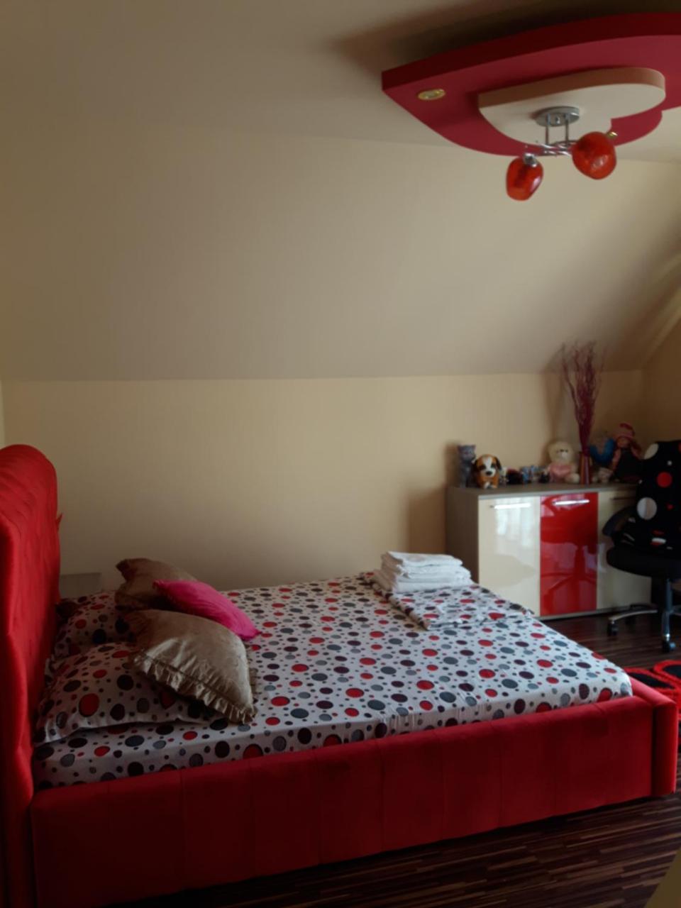 Vila Alexia Otel Călimăneşti Dış mekan fotoğraf