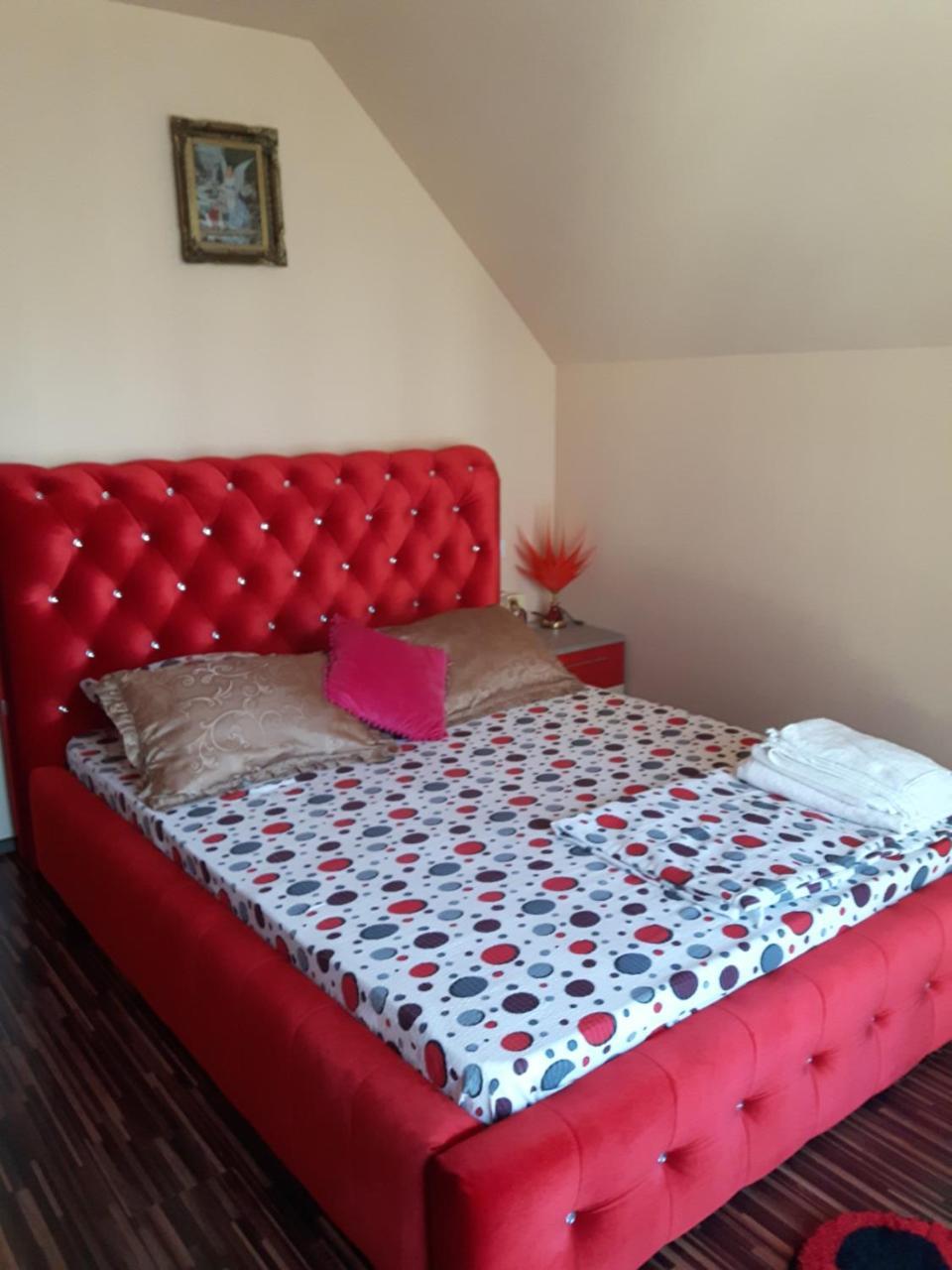 Vila Alexia Otel Călimăneşti Dış mekan fotoğraf
