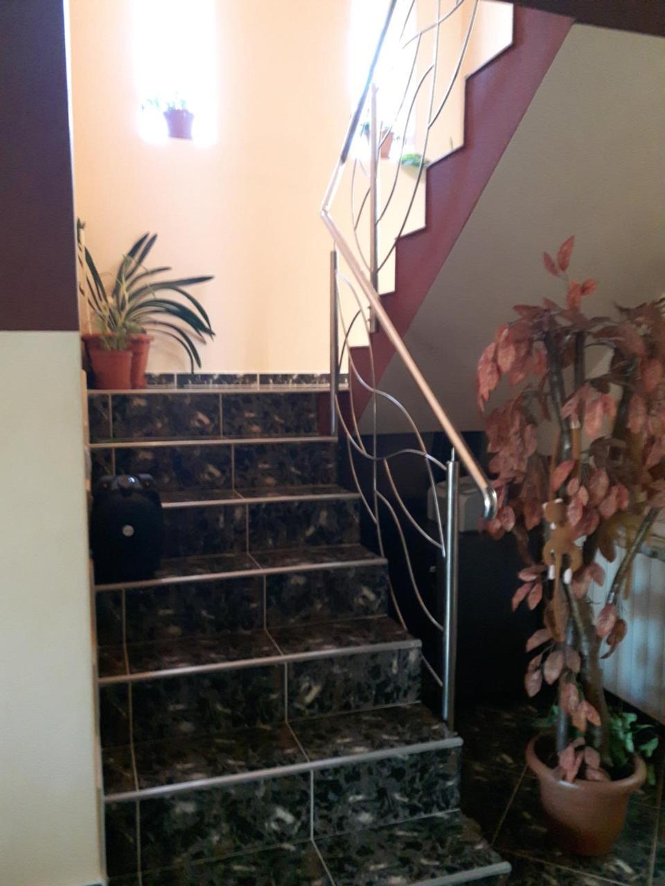 Vila Alexia Otel Călimăneşti Dış mekan fotoğraf