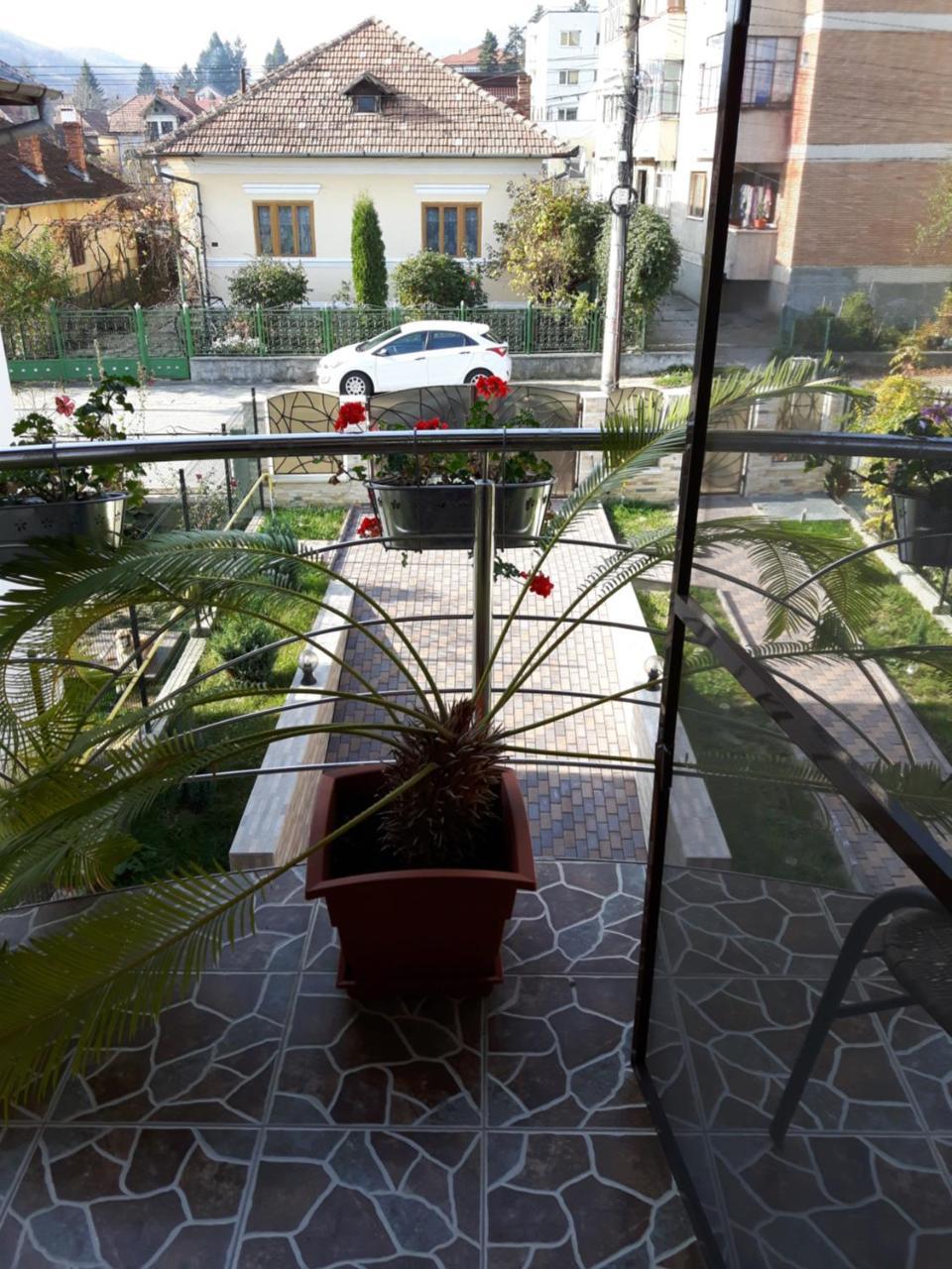 Vila Alexia Otel Călimăneşti Dış mekan fotoğraf
