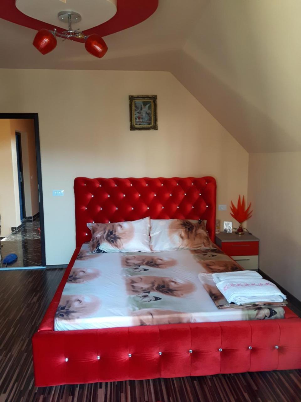 Vila Alexia Otel Călimăneşti Dış mekan fotoğraf