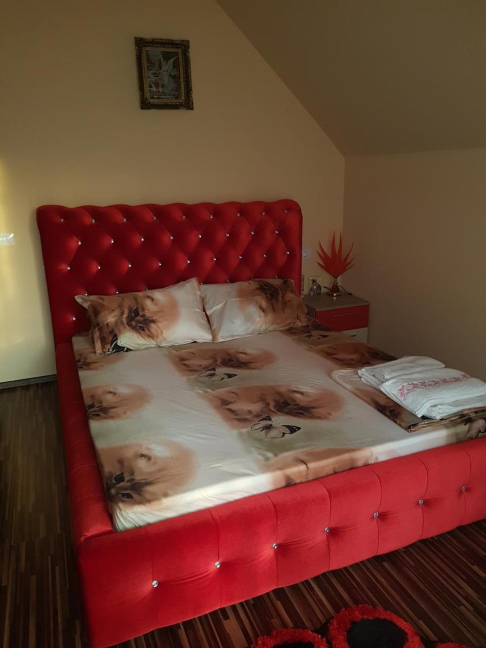 Vila Alexia Otel Călimăneşti Dış mekan fotoğraf