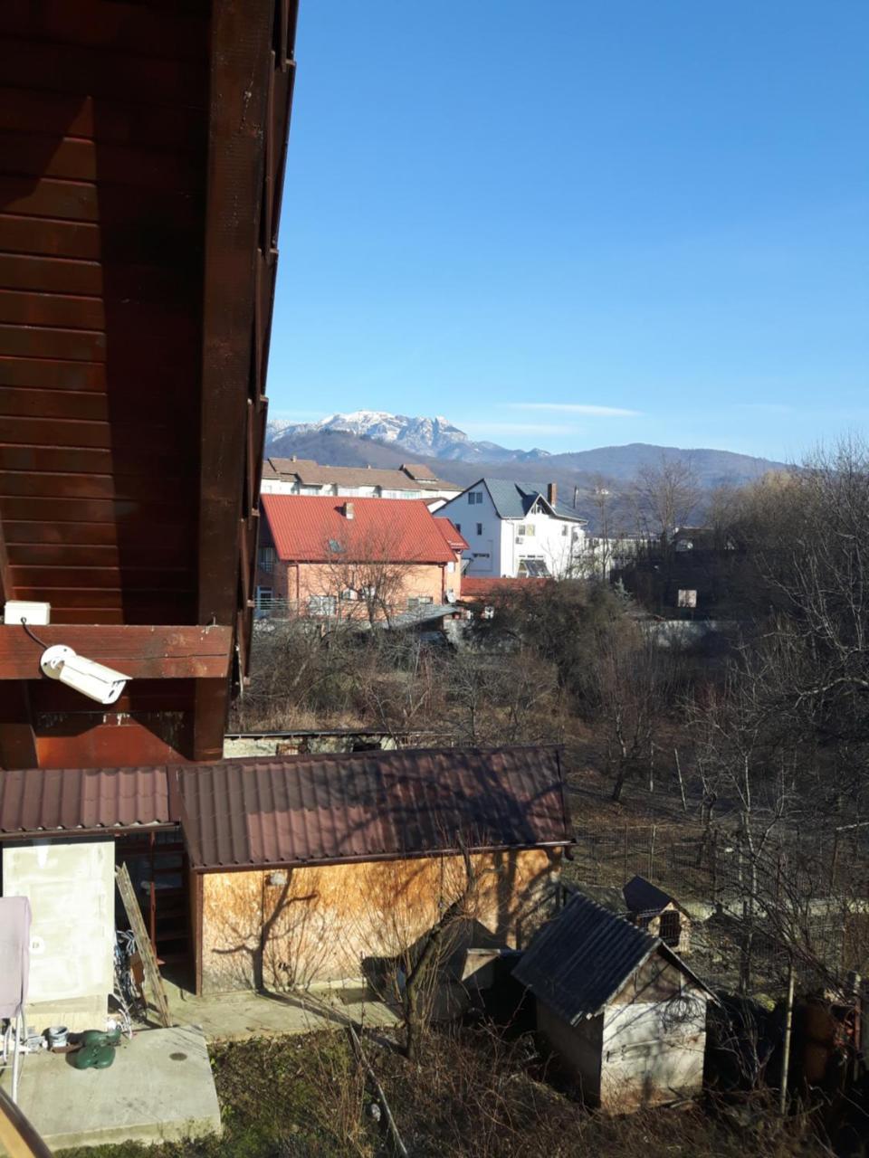 Vila Alexia Otel Călimăneşti Dış mekan fotoğraf