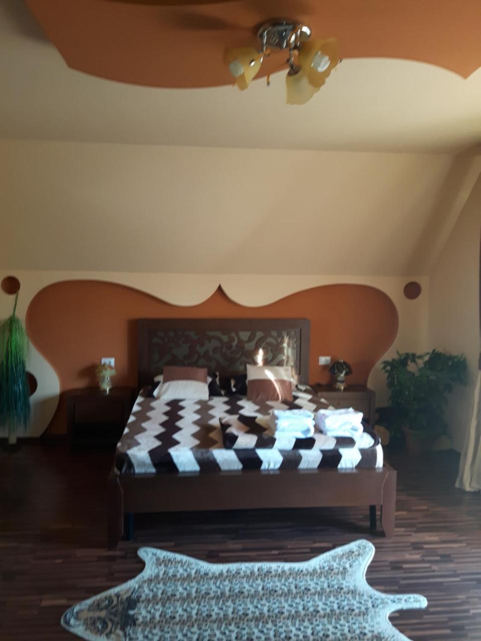 Vila Alexia Otel Călimăneşti Dış mekan fotoğraf