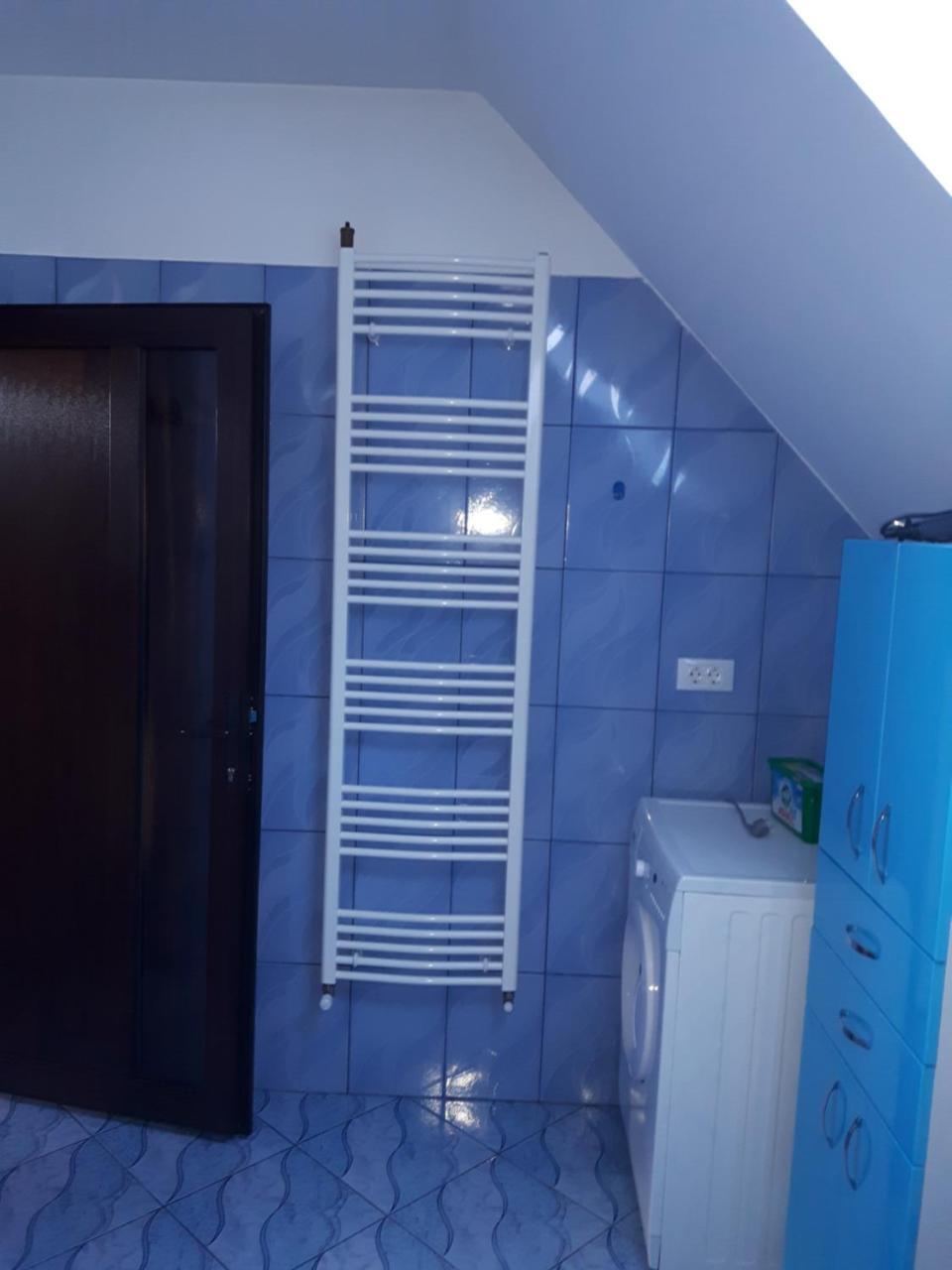 Vila Alexia Otel Călimăneşti Dış mekan fotoğraf